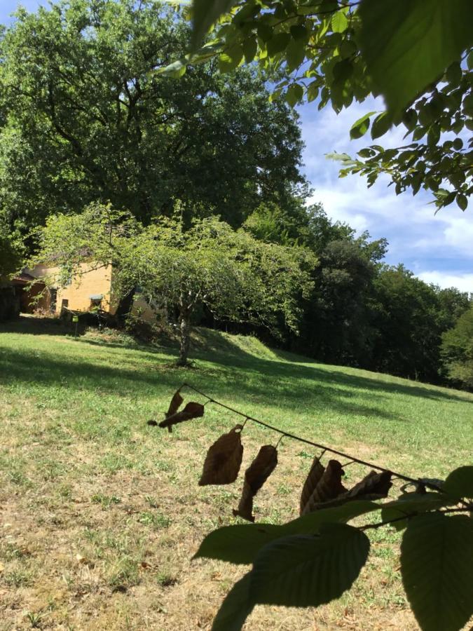 Willa Logis Des 4 Fees Et Son Bain Nordique Sainte-Nathalène Zewnętrze zdjęcie